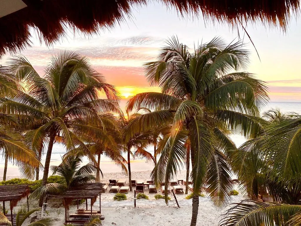 Selina Hotel Isla Mujeres
