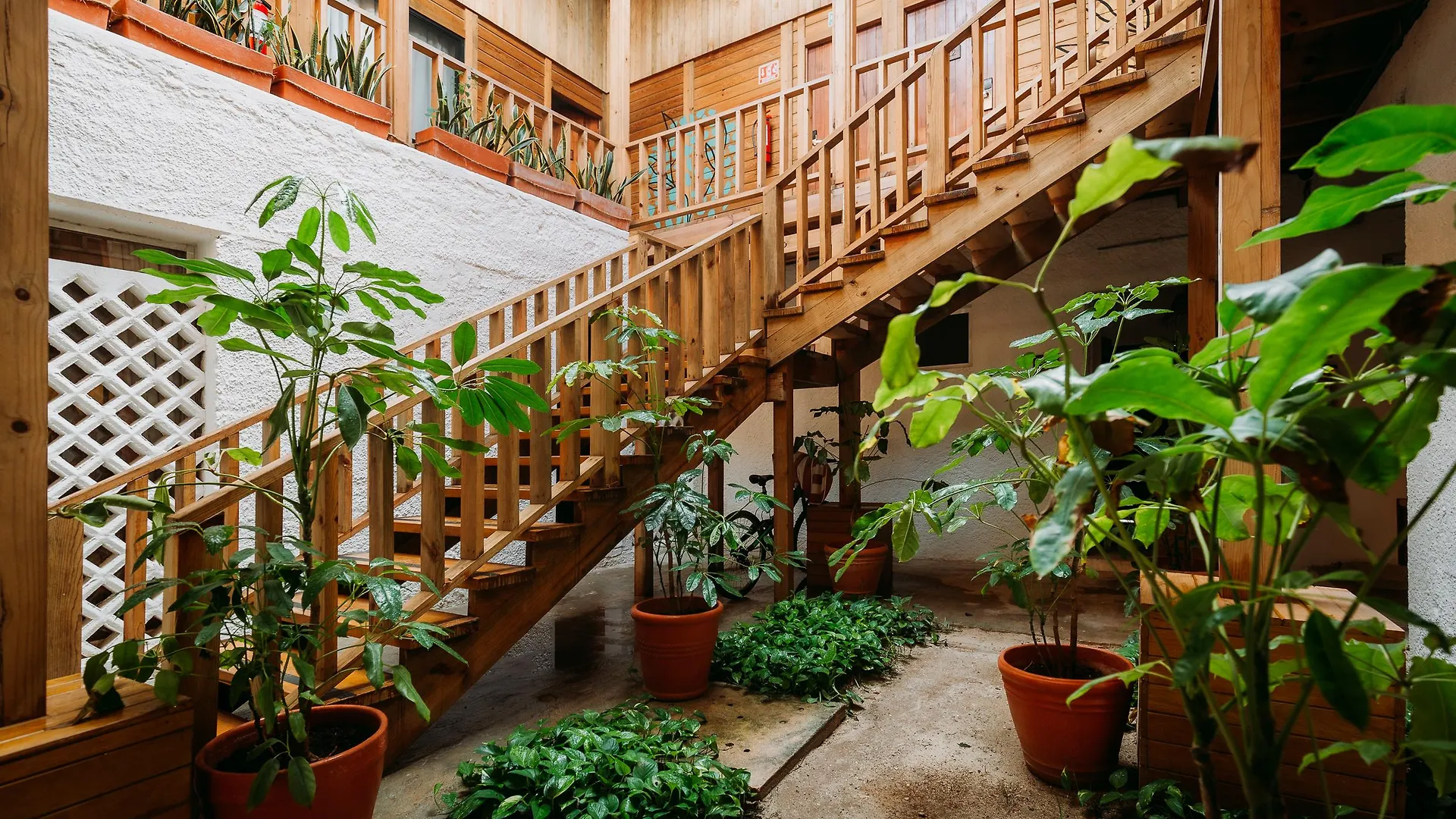 Selina Hotel Isla Mujeres